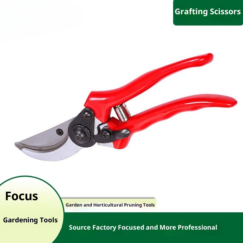 Bonsai Garden Knife - Premium Grafting Pruning Shears Imported Quality