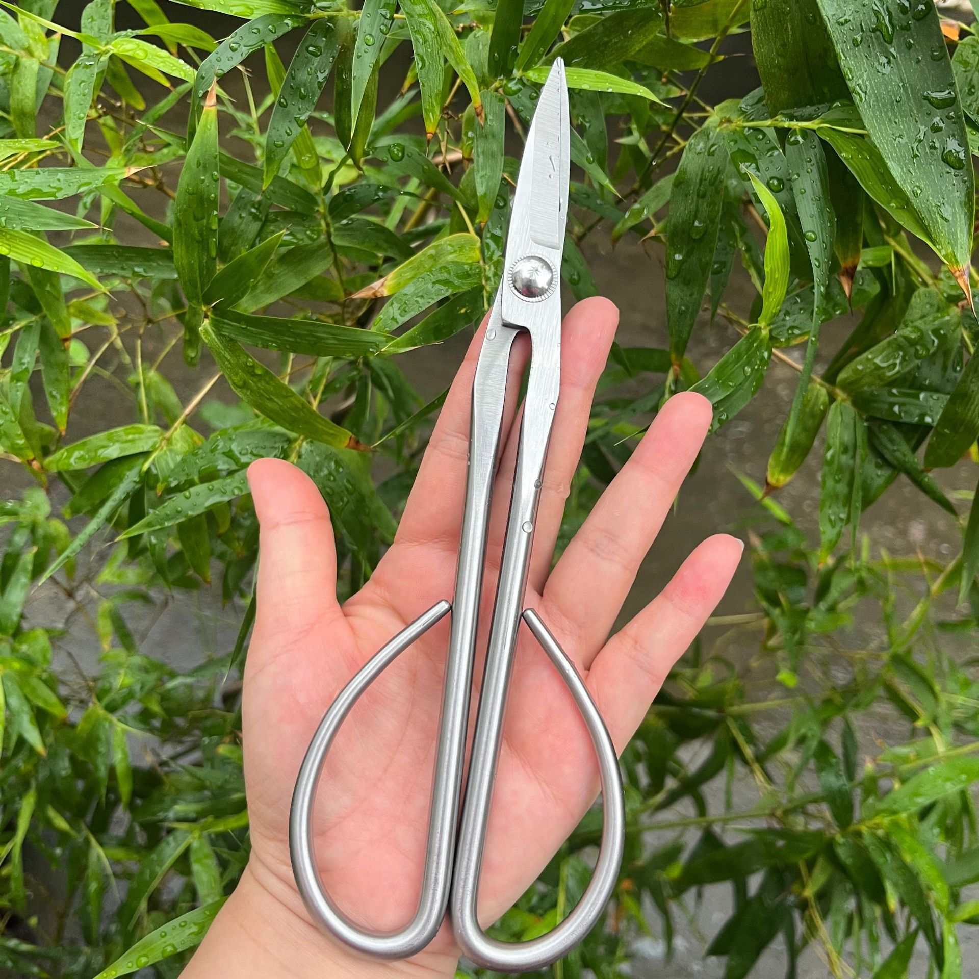 Bonsai Garden Knife - All Steel Scissors Garden Bonsai Tools