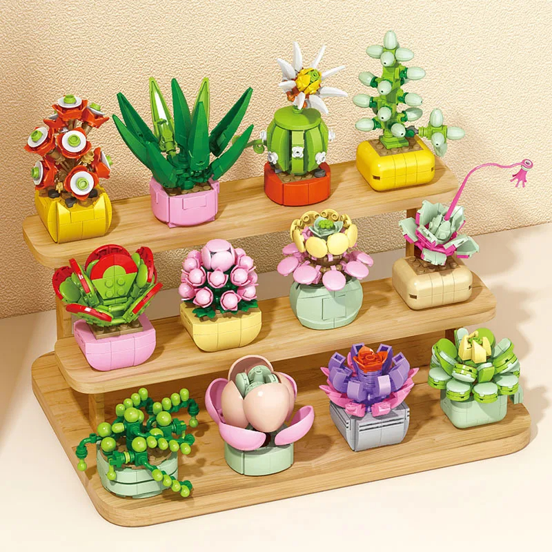 Bonsai Garden World - New Flowers Succulents Building Blocks Everlasting