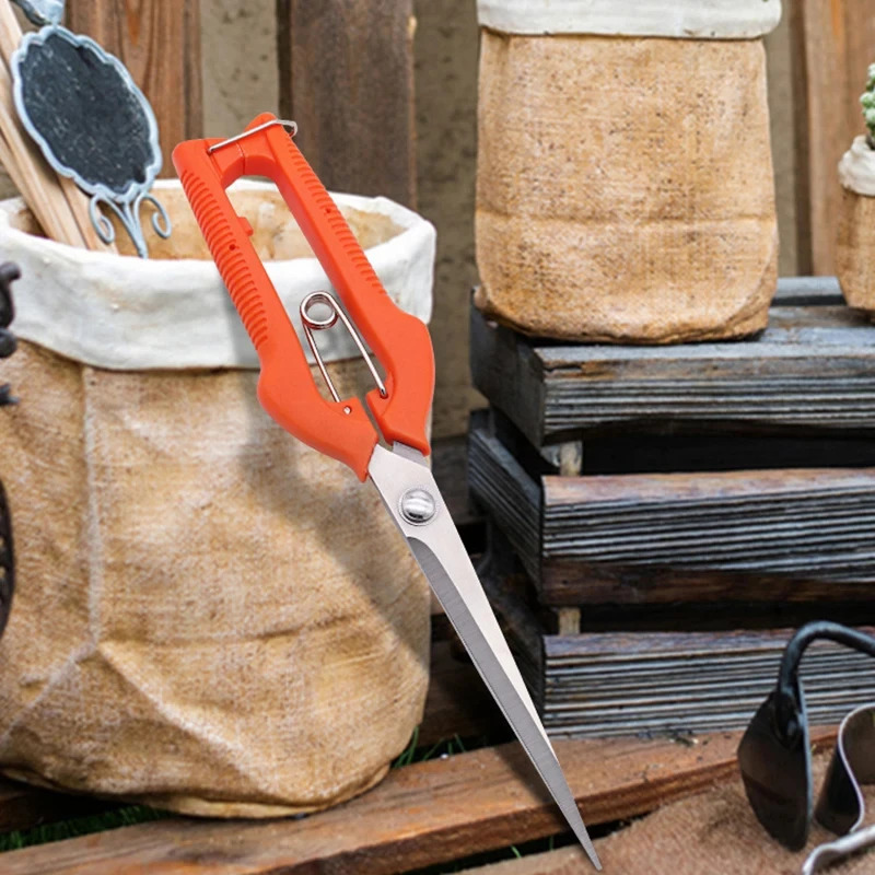Multi-Purpose Pruning Scissors - Bonsai Garden Knife avaliação e preço