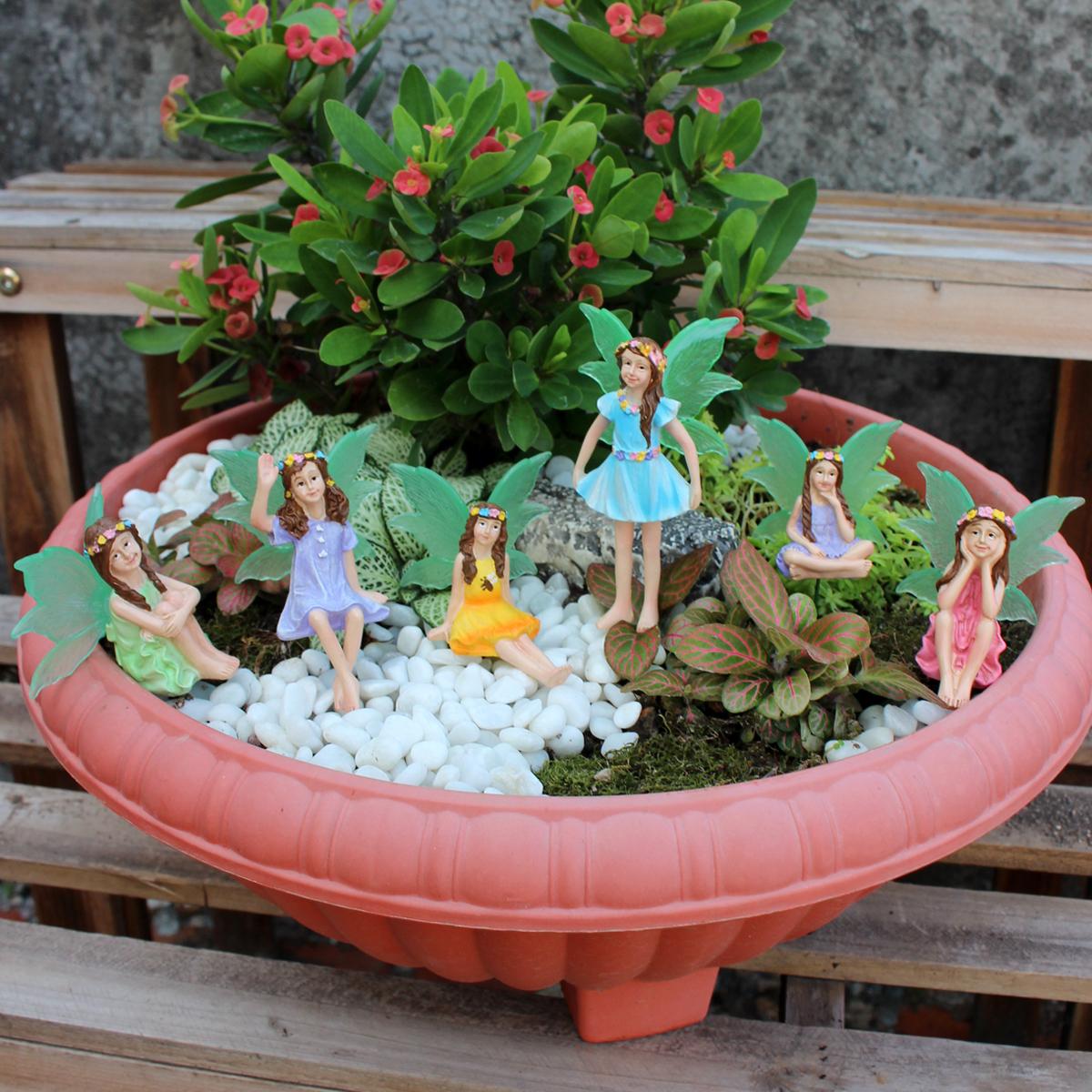 6pc Night Light Wings Flower F - Bonsai Garden World avaliação e preço