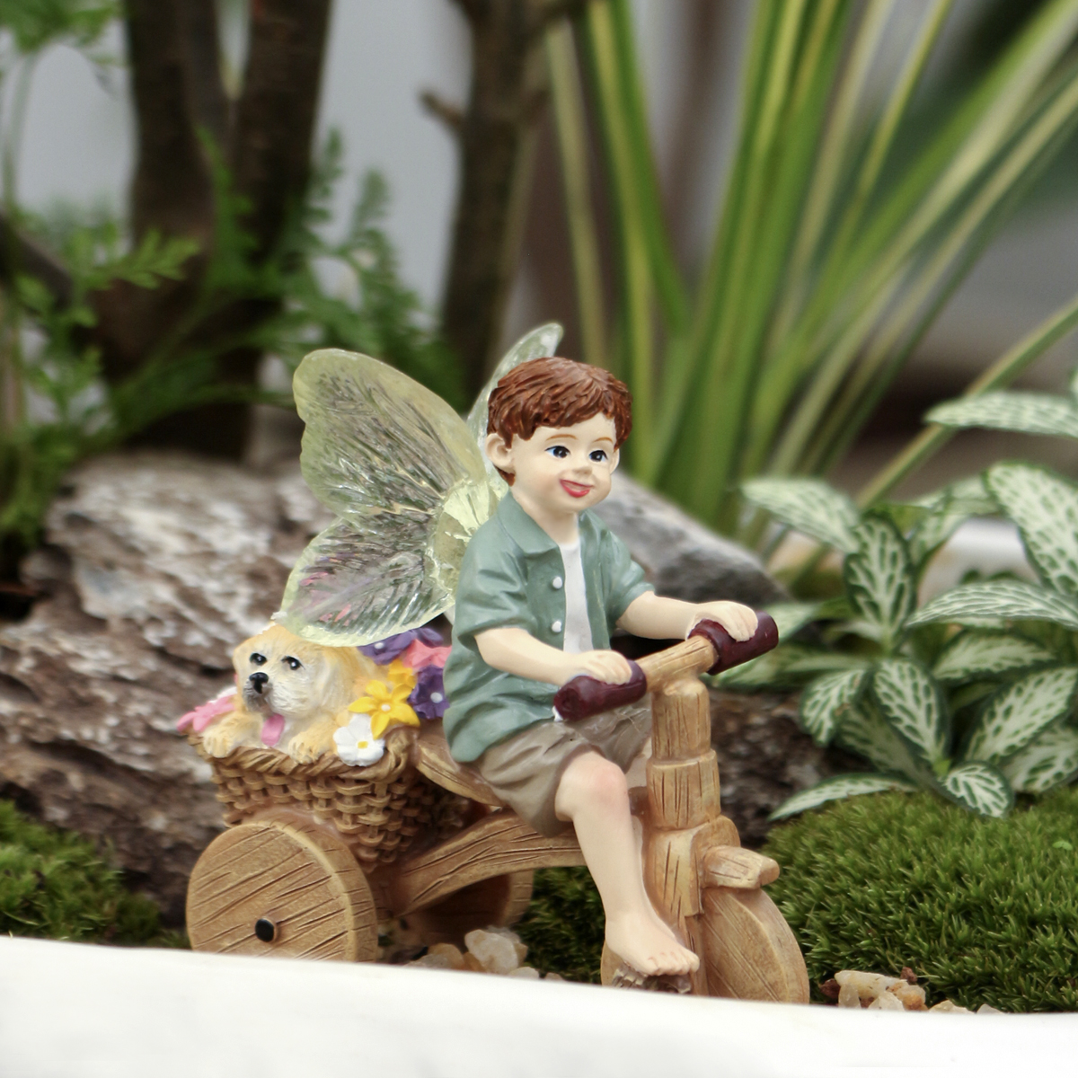 1 piece of transparent winged  - Bonsai Garden World avaliação e preço