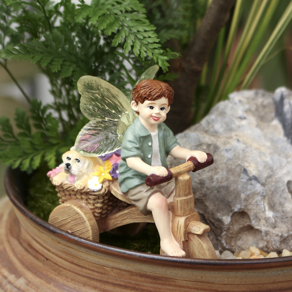 1 piece of transparent winged  - Bonsai Garden World avaliação e preço