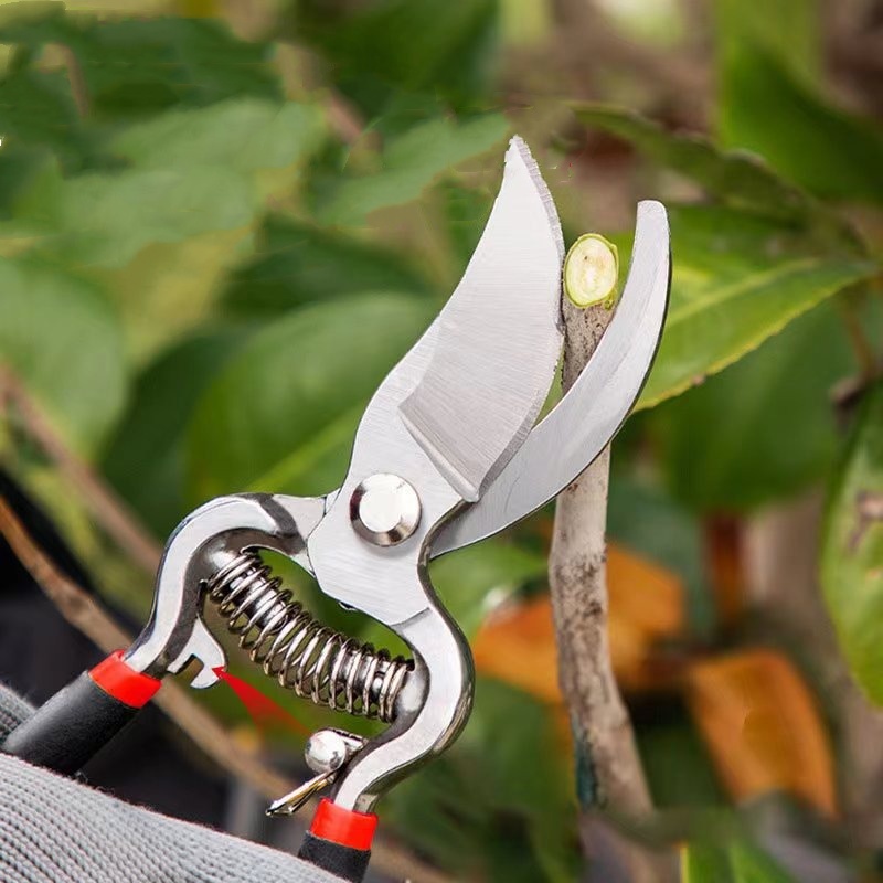 Pruner Garden Scissors Graftin - Bonsai Garden Knife avaliação e preço