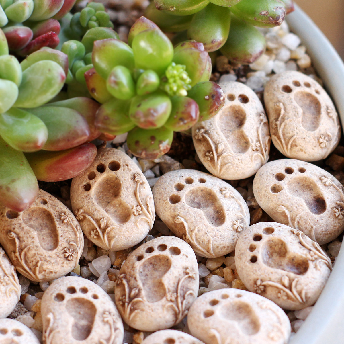 20 Pieces of Garden Footprint  - Bonsai Garden World avaliação e preço