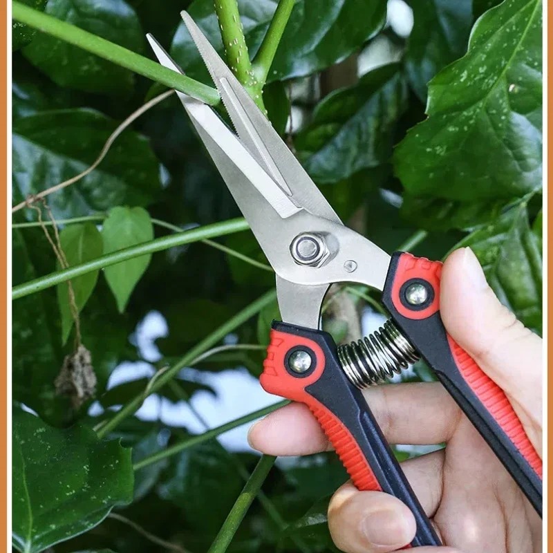 NEWSHARK Stainless Steel Pruni - Bonsai Garden Knife avaliação e preço
