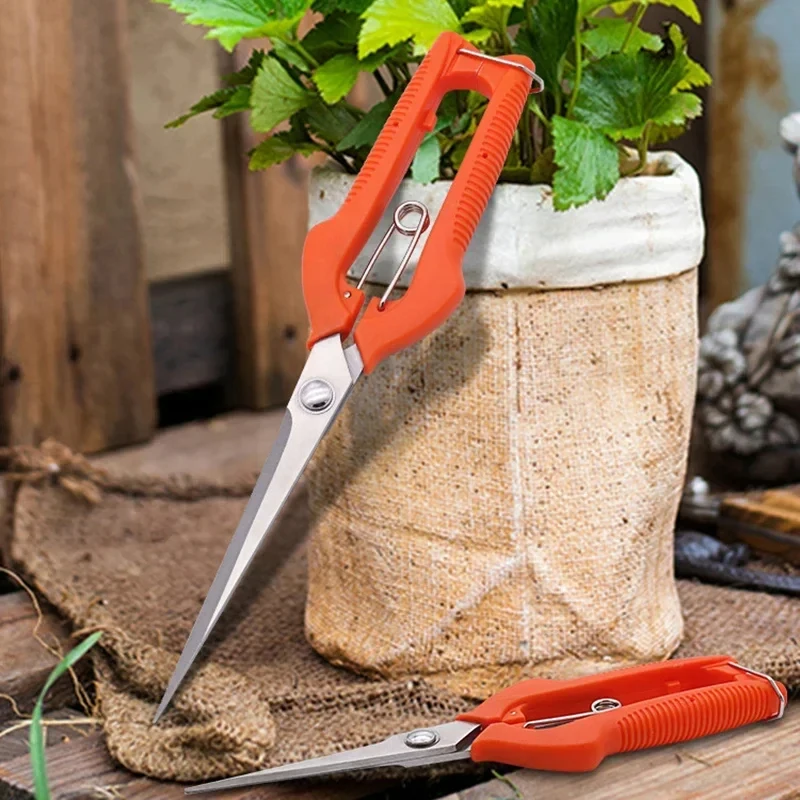 Pruning Shears Grape Scissors  - Bonsai Garden Knife avaliação e preço