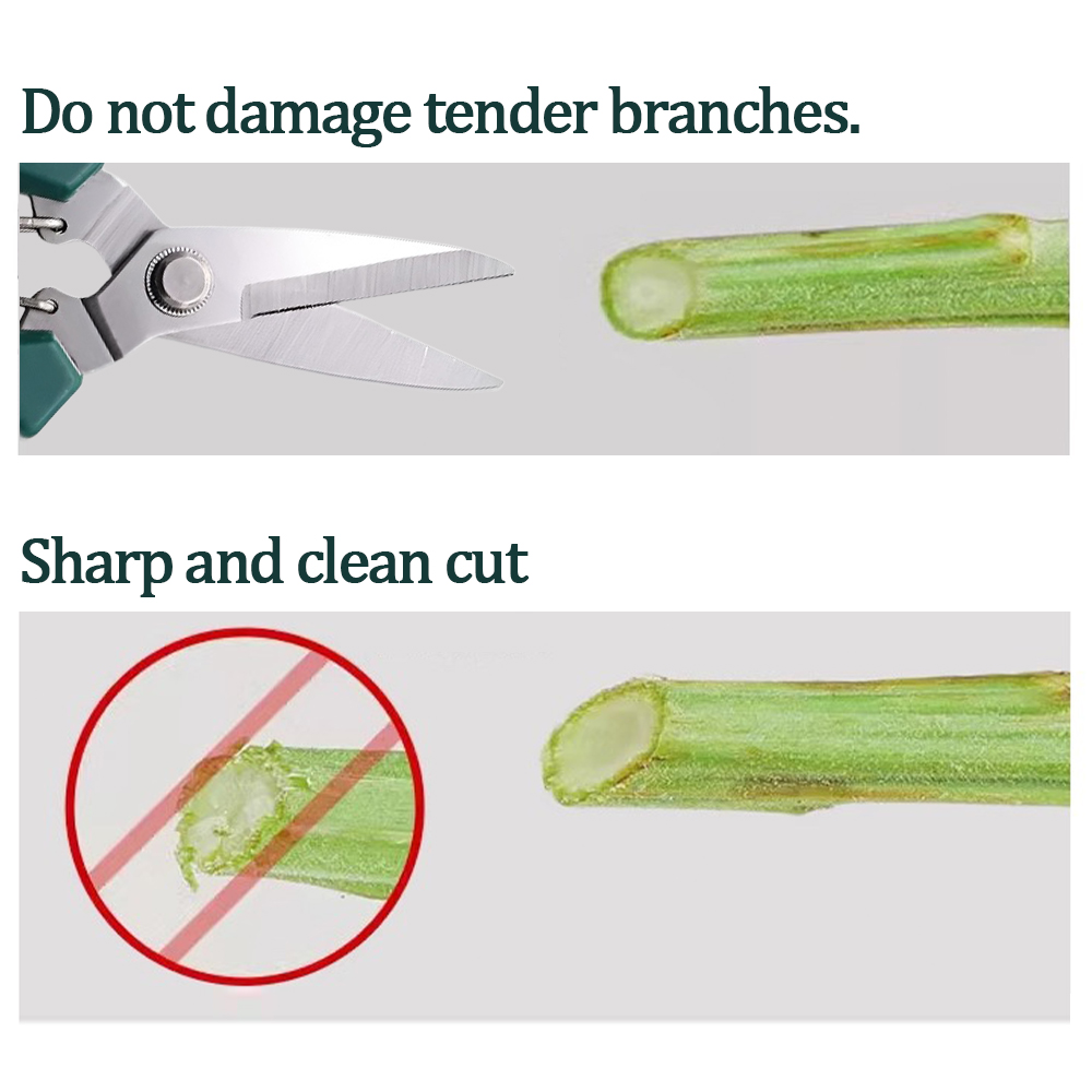 Home-use pruning tools for bon - Bonsai Garden Knife avaliação e preço