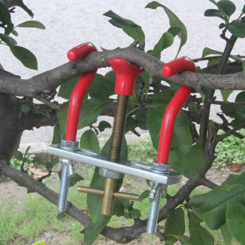 Bonsai Tools The Trees Branch  - Bonsai Garden Knife avaliação e preço