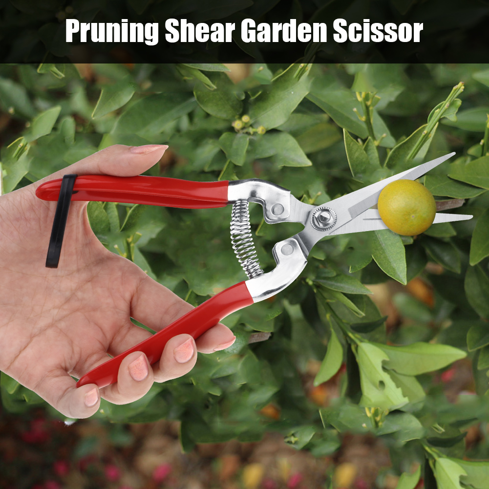 Plant Pruning Tool Made of Sta - Bonsai Garden Knife avaliação e preço