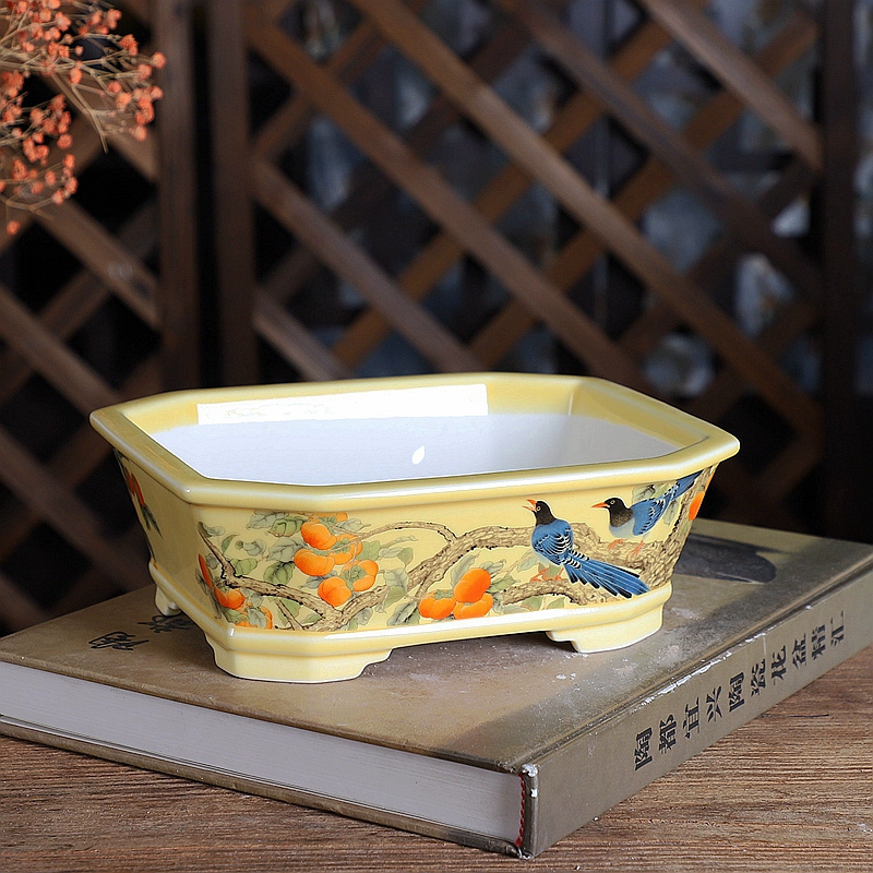 Porcelain Rectangle Bonsai Pot - Bonsai Garden Chinese Garden avaliação e preço