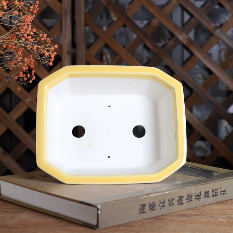 Porcelain Rectangle Bonsai Pot - Bonsai Garden Chinese Garden avaliação e preço
