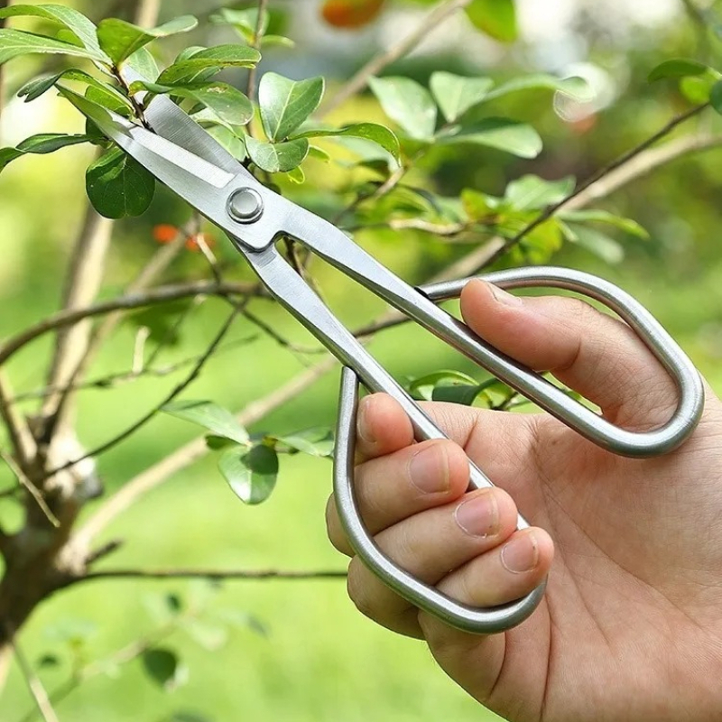 Tender Leaf Scissors Bonsai To - Bonsai Garden Knife avaliação e preço