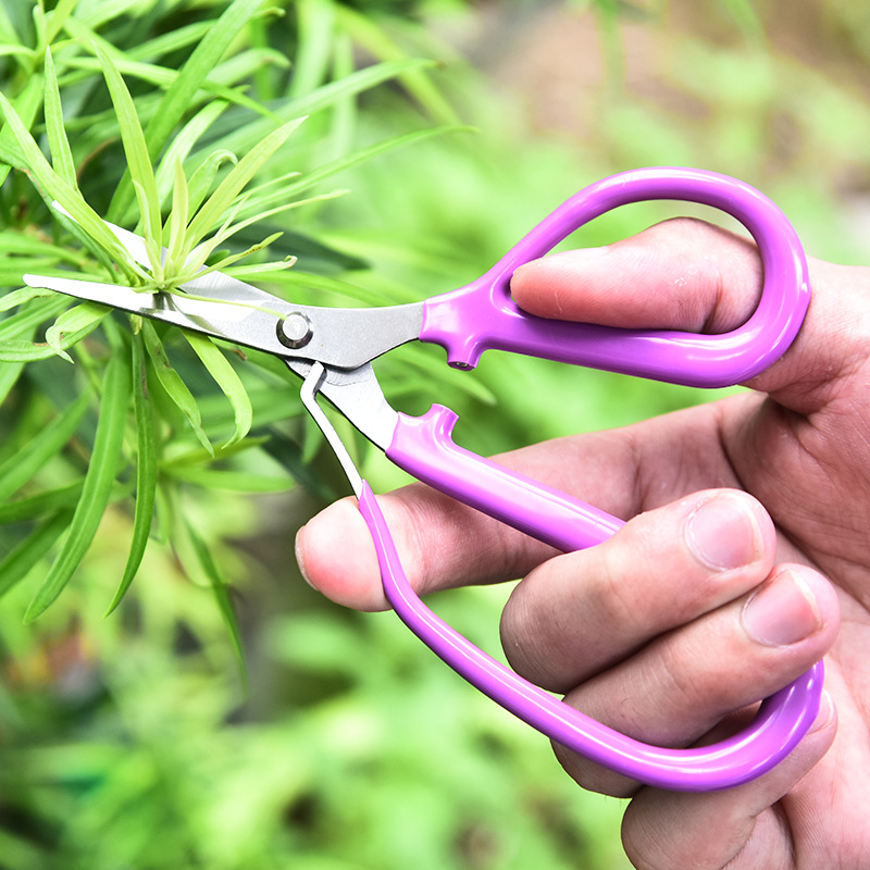 Stainless Steel Pruning Shear  - Bonsai Garden Knife avaliação e preço