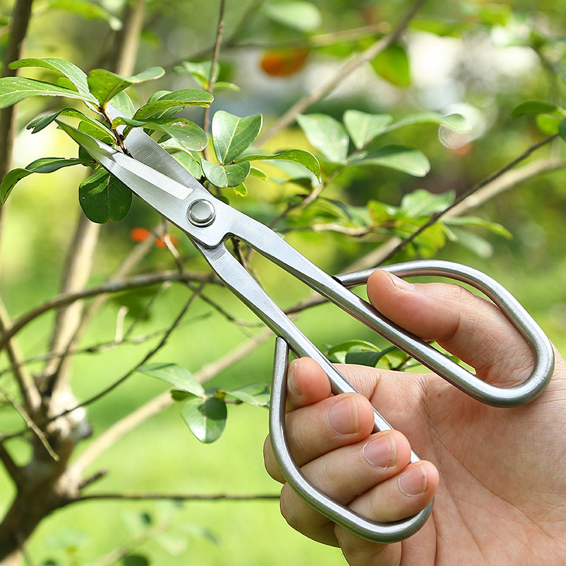 All Steel Scissors Garden Bons - Bonsai Garden Knife avaliação e preço