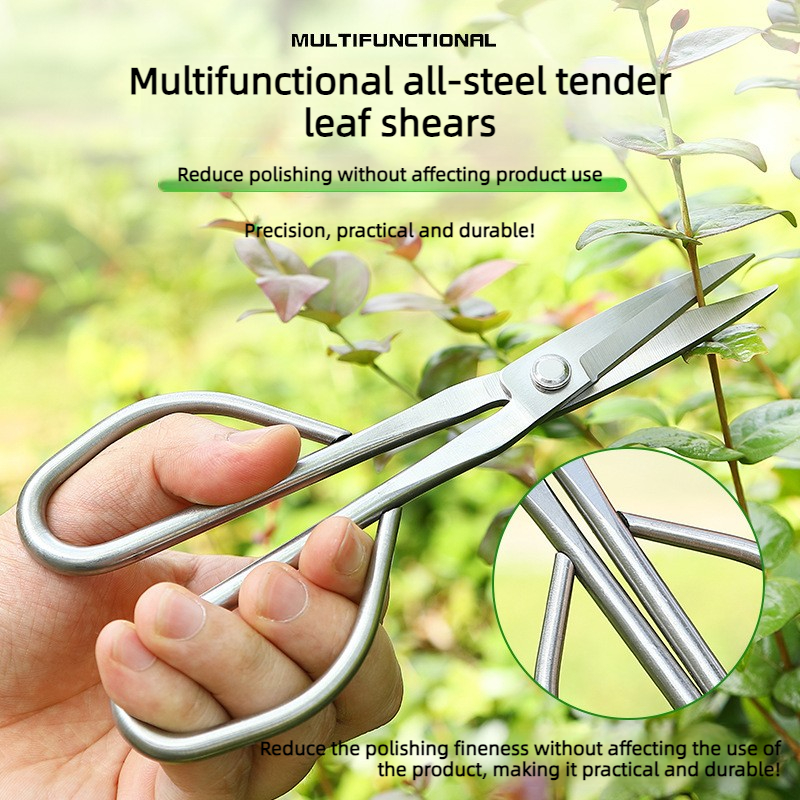 All Steel Scissors Garden Bons - Bonsai Garden Knife avaliação e preço
