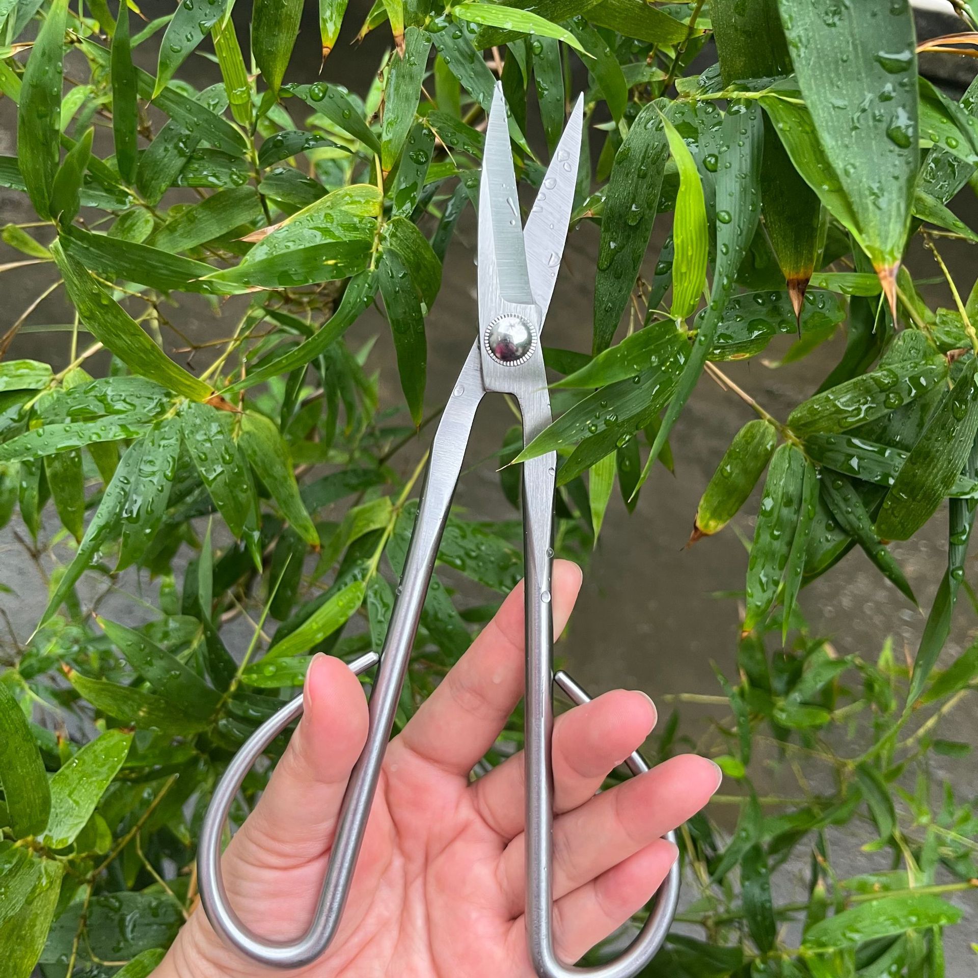 All Steel Scissors Garden Bons - Bonsai Garden Knife avaliação e preço