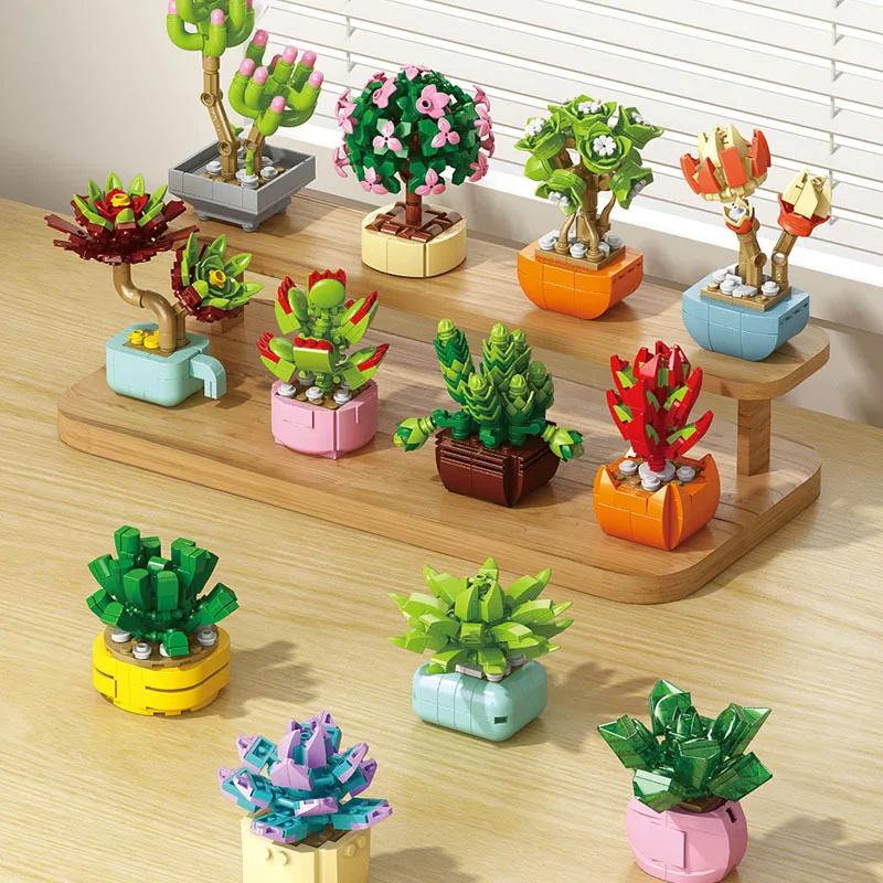 New Flowers Succulents Buildin - Bonsai Garden World avaliação e preço