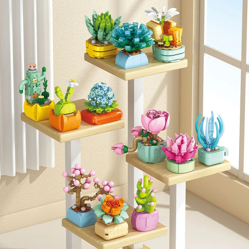 New Flowers Succulents Buildin - Bonsai Garden World avaliação e preço