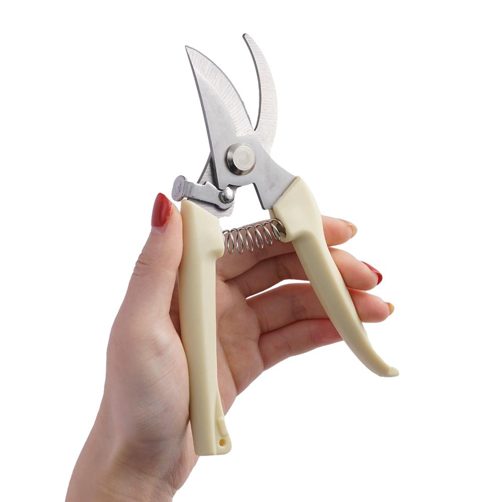 Stainless Steel Pruning Scisso - Bonsai Garden Knife avaliação e preço